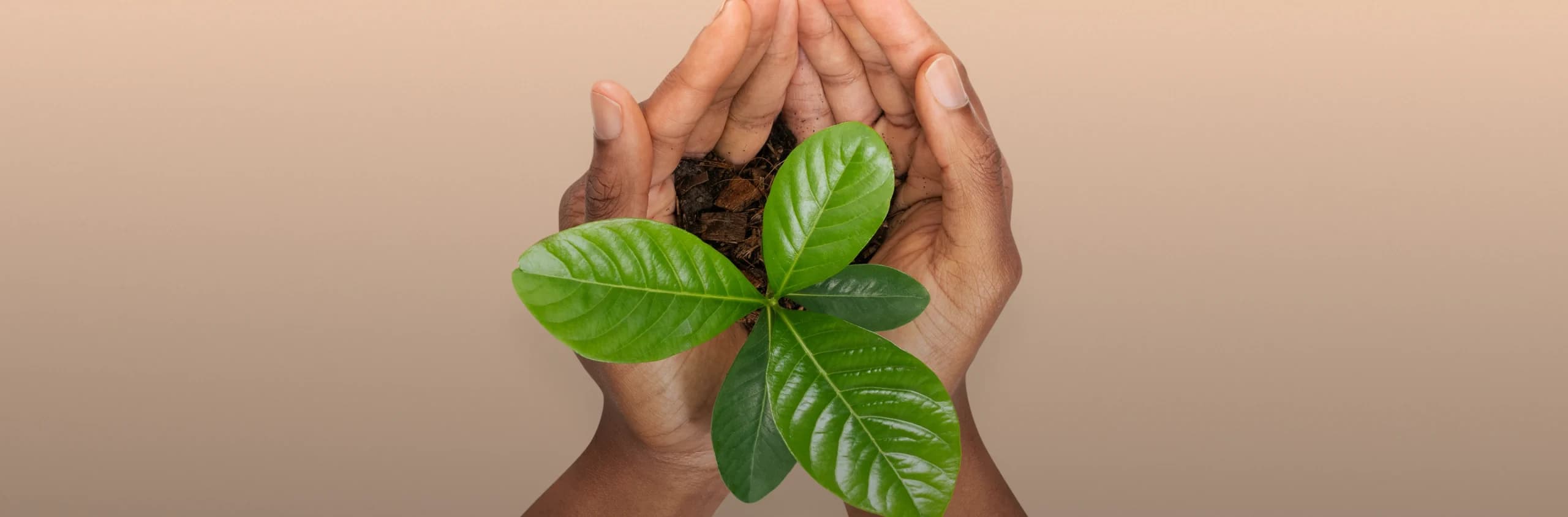 Sustainability Report